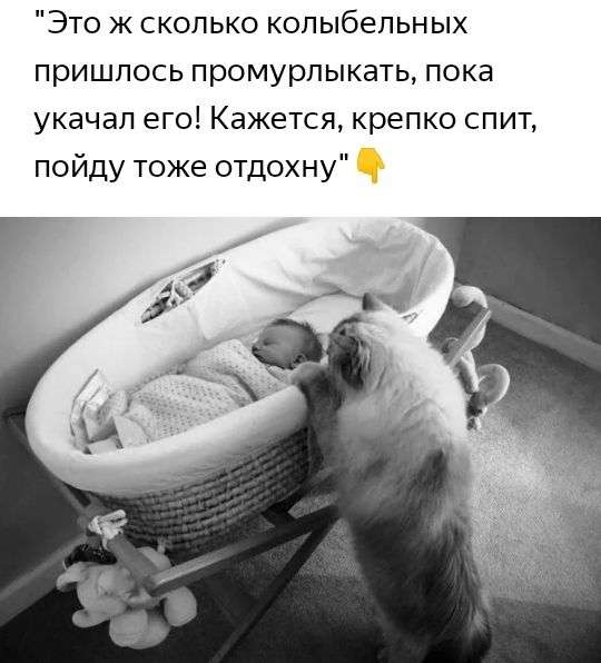 Это ж сколько колыбельных пришлось промурлыкать пока укачап его Кажется крепко спит пойду тоже отдохну