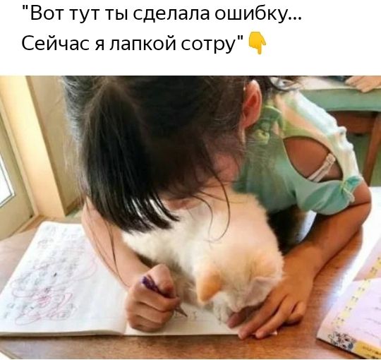 Вот тут ты сделала ошибку Сейчас я папкой сотру 1