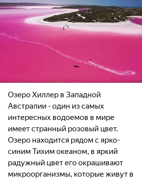 Озеро Хиллер в Западной Австралии один из самых интересных водоемов в мире имеет странный розовый цвет Озеро находится рядом с ярко синим Тихим океаном в яркий радужный цвет его окрашивают микроорганизмы которые живут в