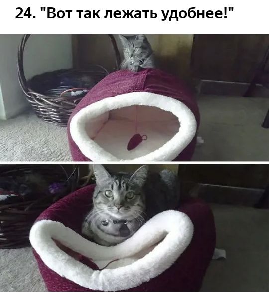 24 Вот так лежать удобнее и