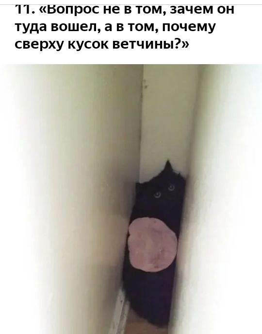 11 вопрос не в том зачем он туда вошел а в том почему сверху кусок ветчины