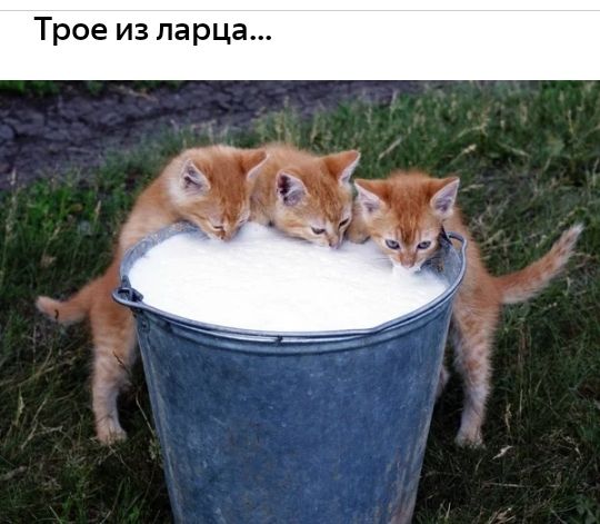 Тр 0 ца 57 а ь