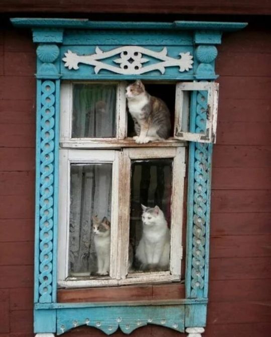 111 275111 1112 ЫЫЁЁЧЖЖЁ 1 Угммндидт _