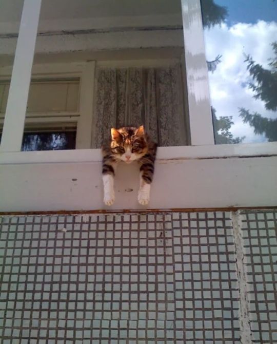 пп пцшяц пп пппппиппппп ЧТЗППППППППППППП алиас пппппппппипппі ппц липня ЦЦПЕПП