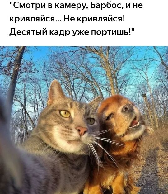 Смотри в камеру Барбос и не кривпяйся Не кривпяйся Десятый кадр уже портишь