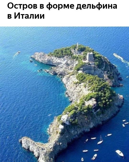 Остров в форме дельфина в Италии