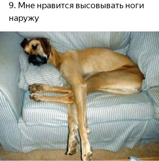 9 Мне нравится ВЫСОВЫВЭТЬ НОГИ наружу пп