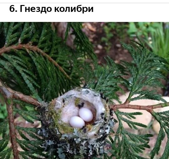 и о 6 И и к о д 3 е н