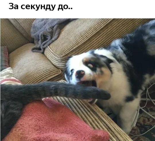 За секунду до