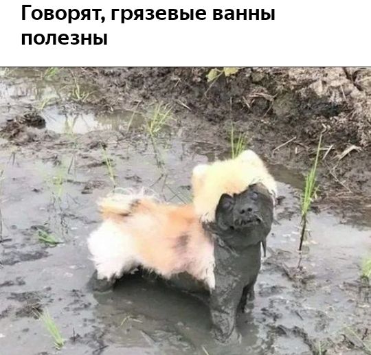 Говорят Грязевые ВЗННЫ ПОЛЕЗНЫ