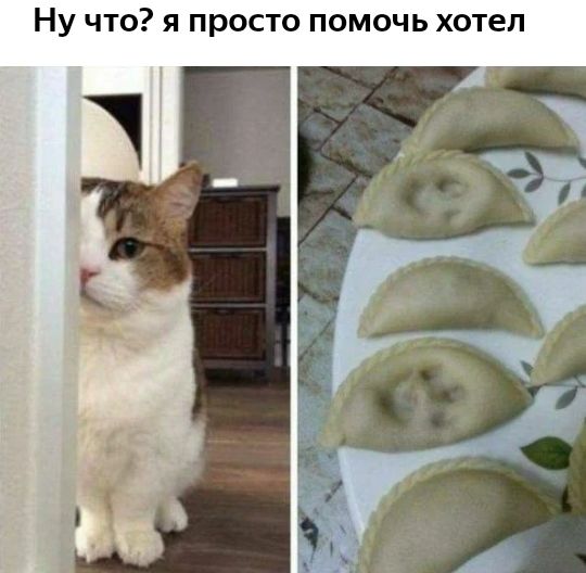 Ну что я просто помочь хотел