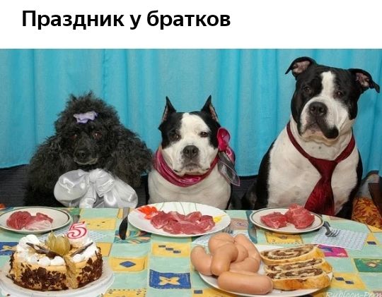 Праздник у братков