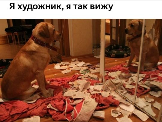 Я художник я так вижу