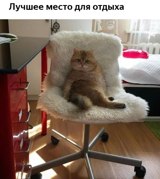 Лучшее место для отдыха