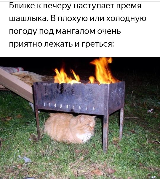 Ближе к вечеру наступает время шашлыка В плохую или холодную погоду под мангалом очень приятно лежать и греться