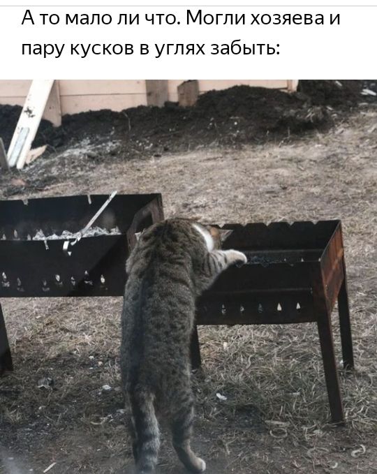 А то мало ли что М гли хозяева и пару кусков в угпях забыть