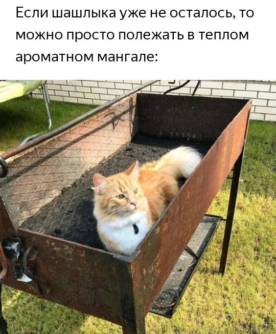 ЕСЛИ шашлыка уже не осталось ТО МОЖНО ПРОСТО полежать В теплом ароматном мангале