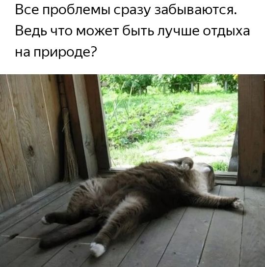 Все проблемы сразу забываются Ведь что может быть лучше отдыха на природе
