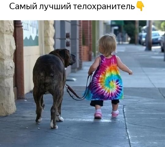Самый лучший телохранитель