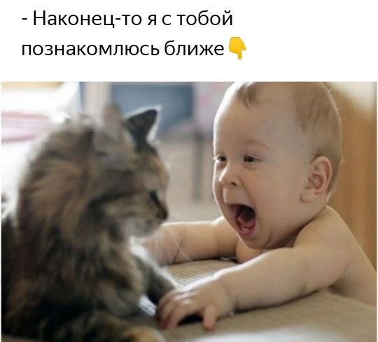 Наконец то я с тобой познакомлюсь ближе
