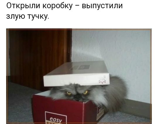 Открыли коробку выпустили злую тучку
