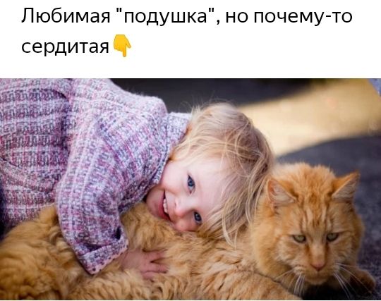 Ну я сегодня провожу урок А что такого то