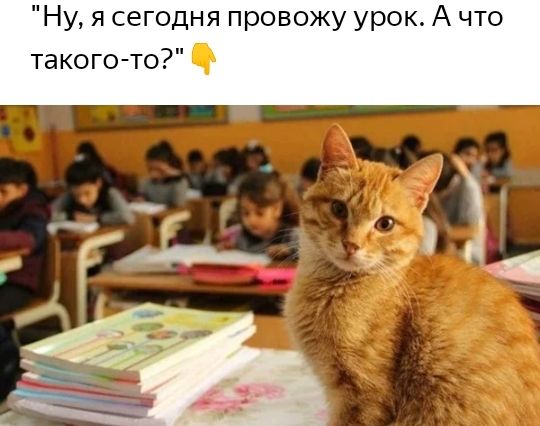 Ну я сегодня провожу урок А что такого то