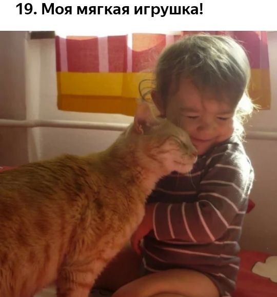 19 Моя мягкая игрушка
