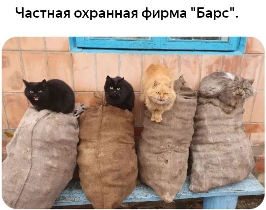 Частная охранная фирма Барс