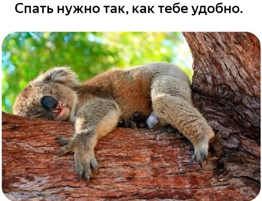 Спать нужно так как тебе удобно