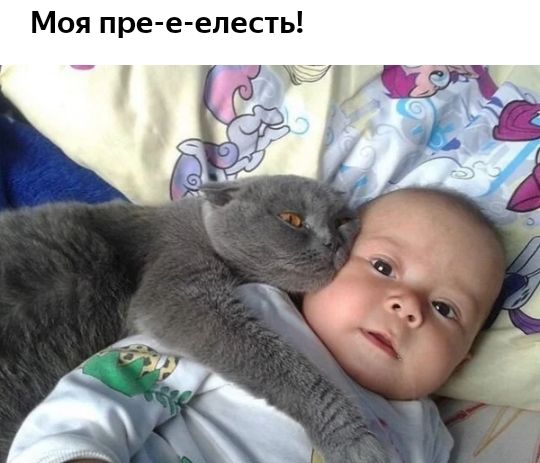 Моя пре е епесть