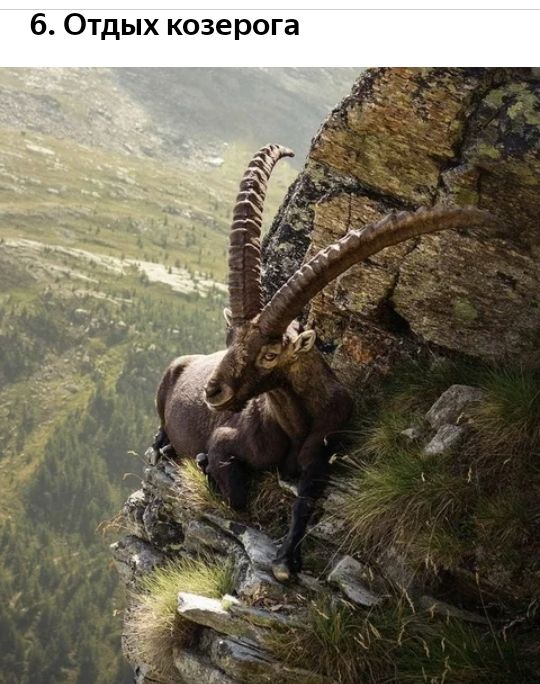 а г о о е м к т 0 6