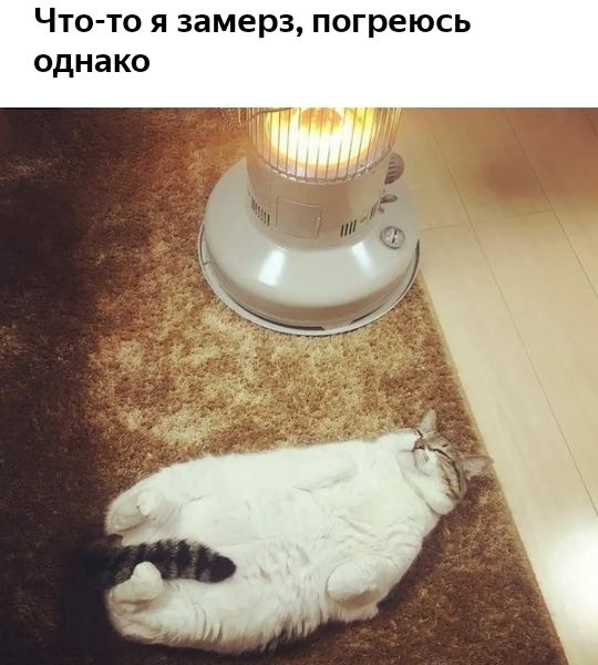 Что то я замерз погреюсь однако