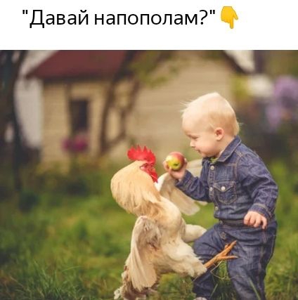 1 за 6 4