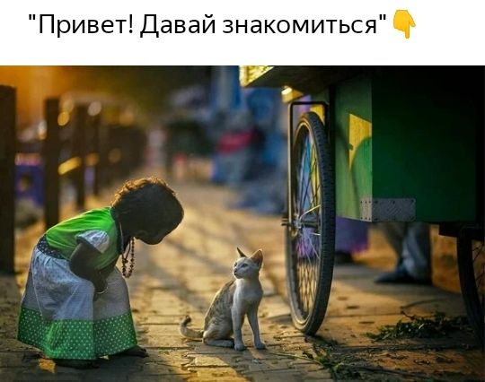 авай ЗНаКОМИТЬСЯ 97