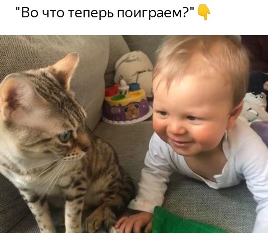 Во что теперь поиграем