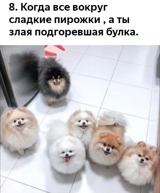 8 Когда все вокруг сладкие пирожки а ты злая подгоревшая булка