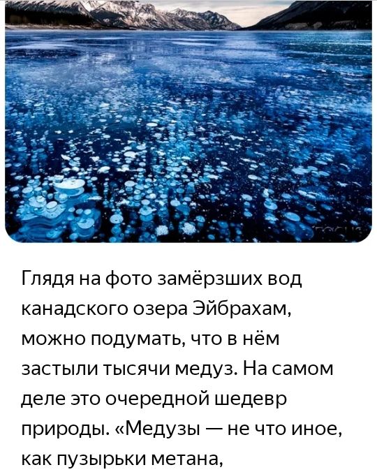 Глядя на фото замёрзших вод канадского озера Эйбрахам можно подумать что в нём застыли тысячи медуз На самом деле это очередной шедевр природы Медузы не что иное как пузырьки метана