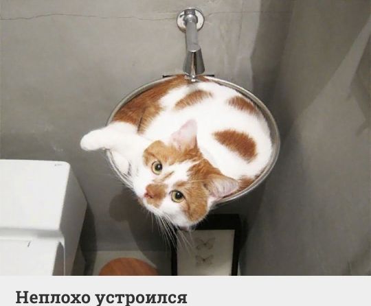 Неплохо