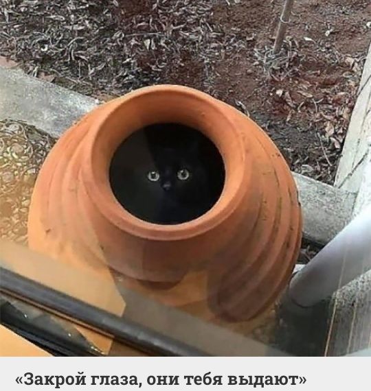Закрой глаза они тебя выдают