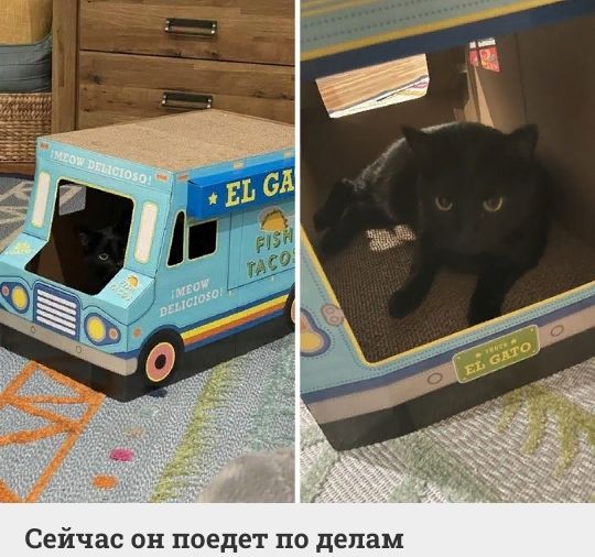 Сейчас он поедет по делам