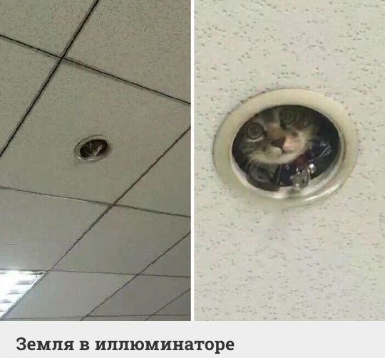 Земля В ИППЮМИНЕТОРЕ