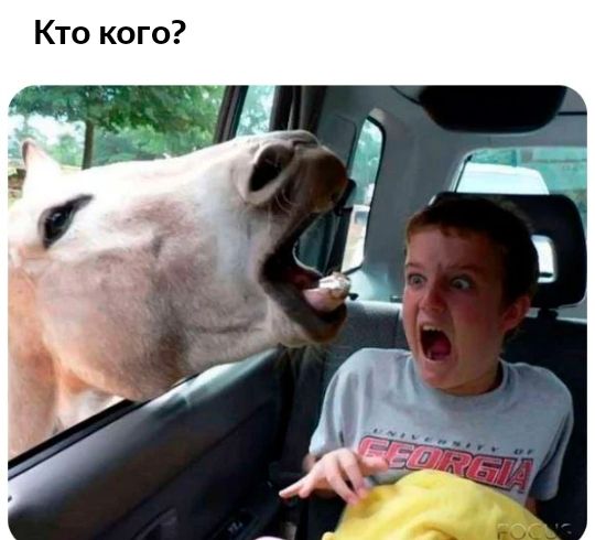 Кто кого