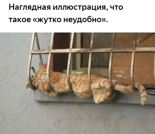 Наглядная иллюстрация что такое жутко неудобно
