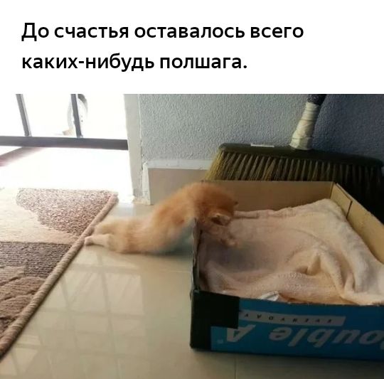 ДО счастья оставалось ВСЕГО каких нибудь полшага и