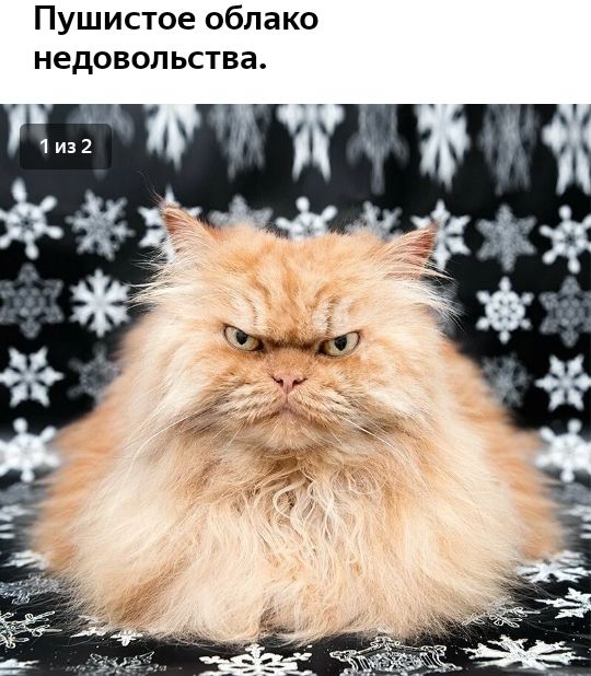 Пушистое облако недовольства
