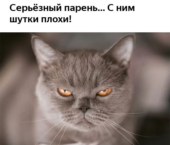 Серьёзный парень С ним шутки плохи