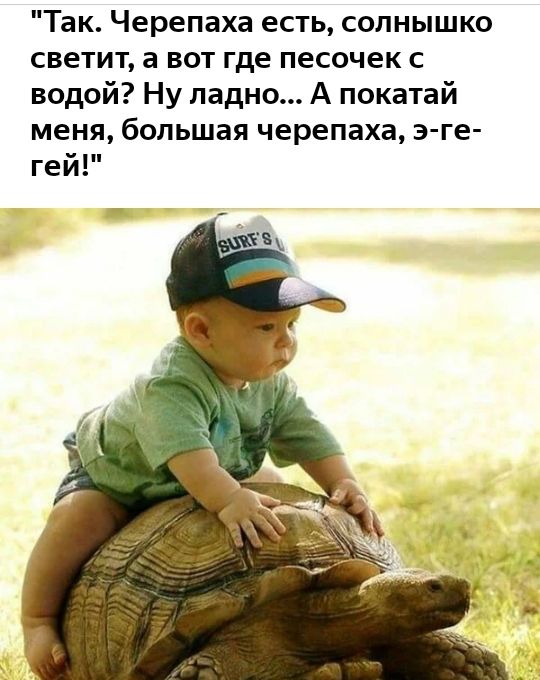 Так Черепаха есть солнышко светит а вот где песочек водой Ну ладно А покатай меня большая черепаха э ге гей