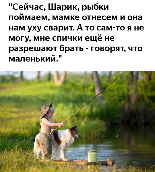 Сейчас Шарик рыбки поймаем мамке отнесем и она нам уху сварит А то сам то я не могу мне спички ещё не разрешают брать говорят что маленький