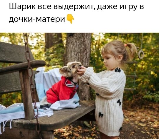 Шарик все выдержит даже игру в дочки матери
